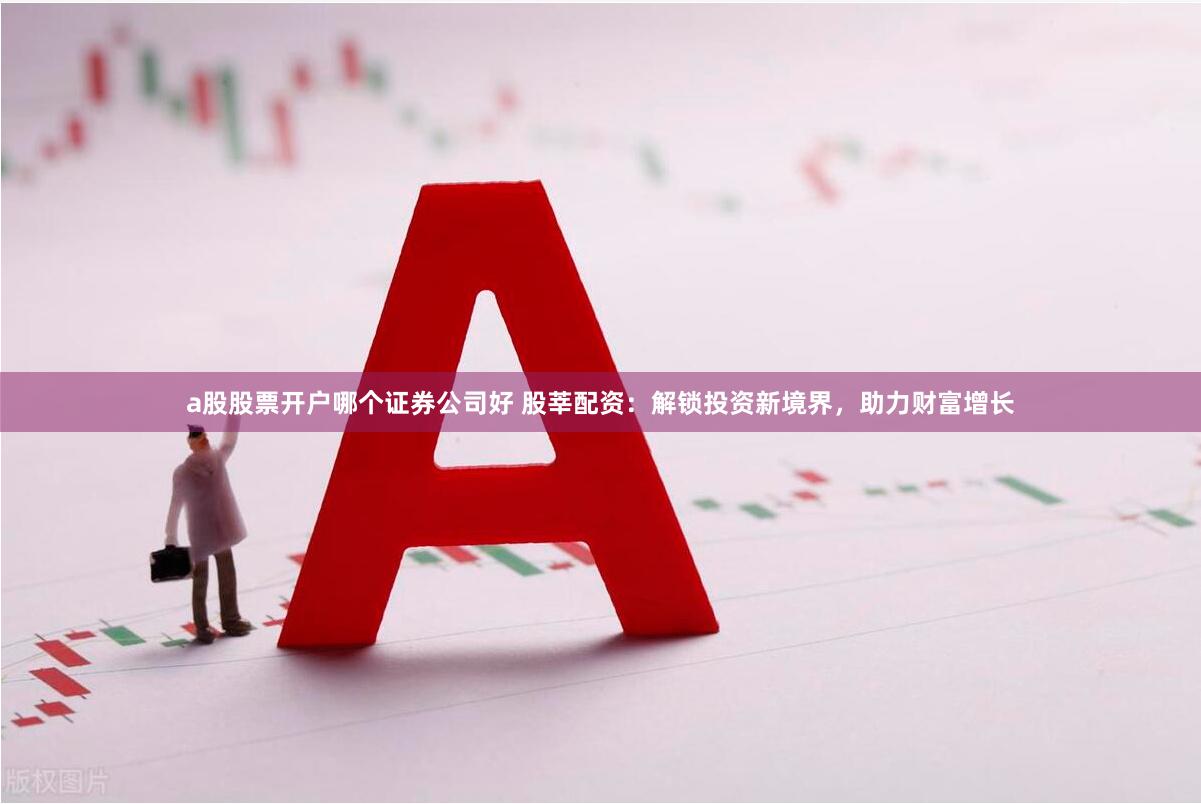 a股股票开户哪个证券公司好 股莘配资：解锁投资新境界，助力财富增长
