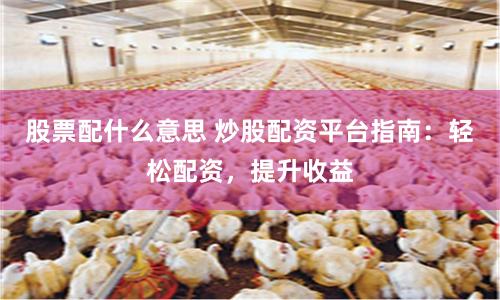 股票配什么意思 炒股配资平台指南：轻松配资，提升收益