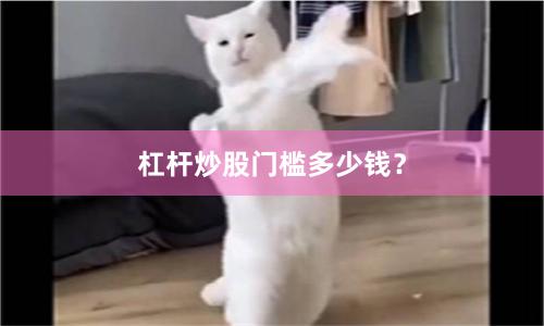 杠杆炒股门槛多少钱？